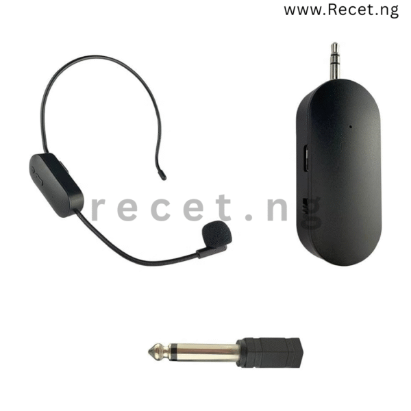 AY-101 Wireless Microphone